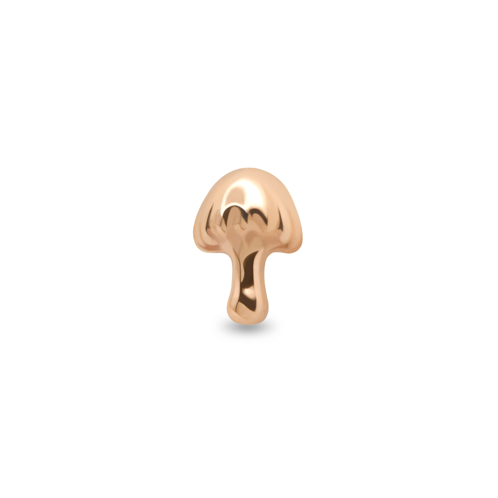 Bonnet Mushroom - Image 4