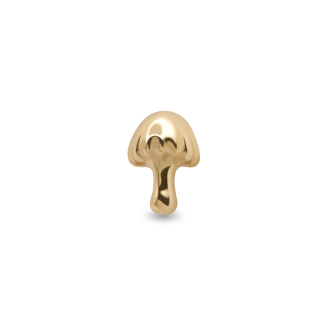Bonnet Mushroom