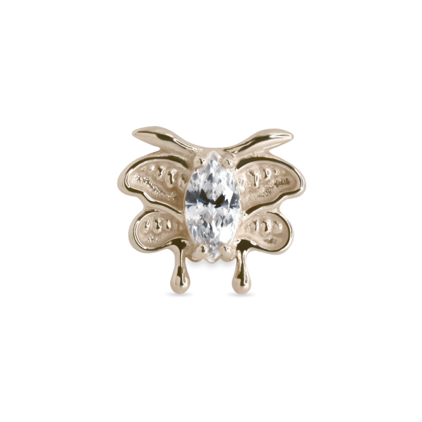 Moth - Image 2