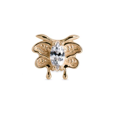 Moth
